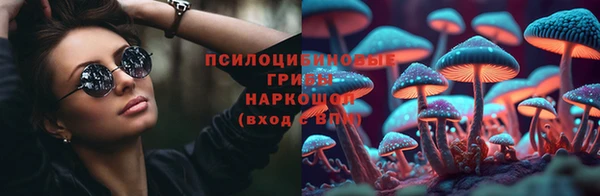 таблы Бородино
