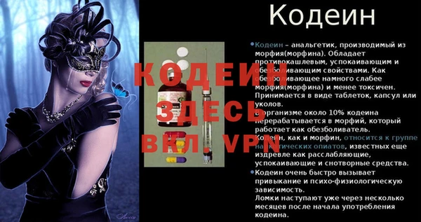 таблы Бородино