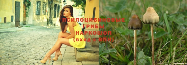 дмт Бронницы