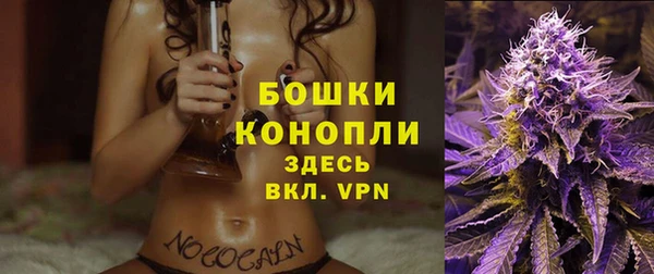 таблы Бородино