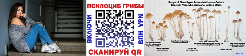 Галлюциногенные грибы ЛСД даркнет сайт Десногорск